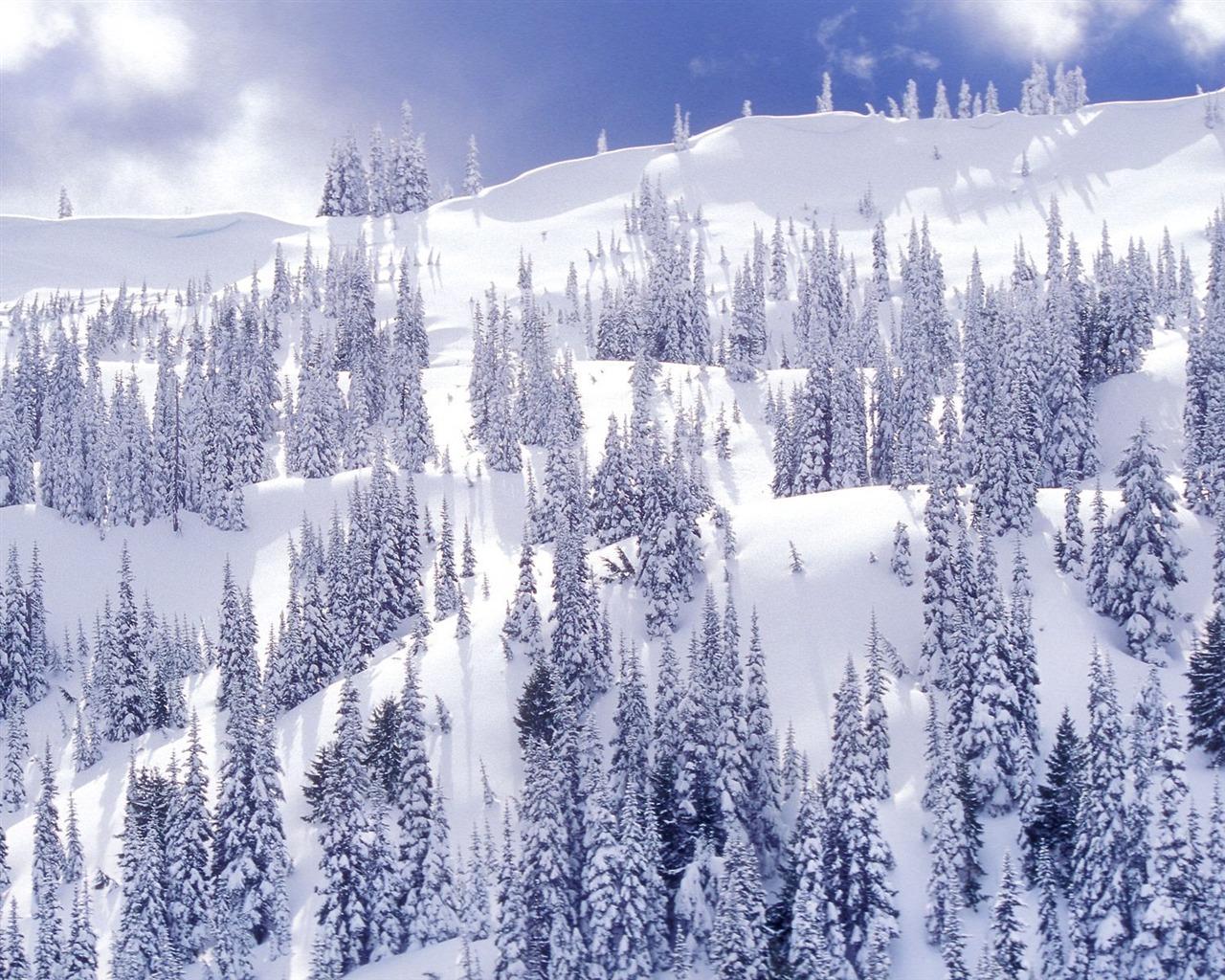 Winter Snow wallpaper (2) #5 - 1280x1024