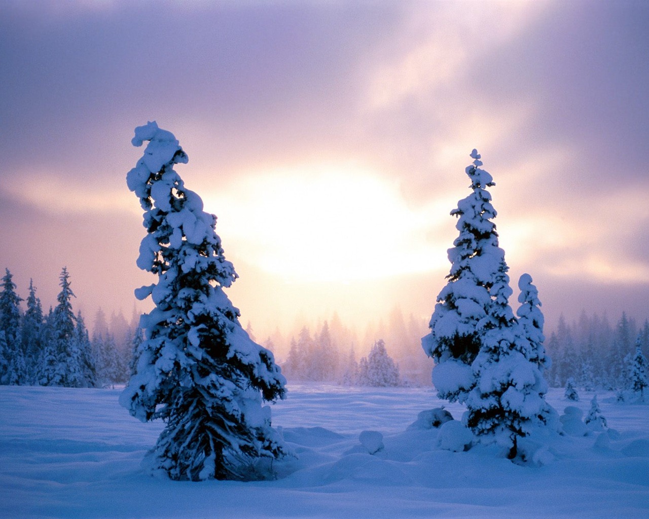 Winter Snow wallpaper (2) #6 - 1280x1024