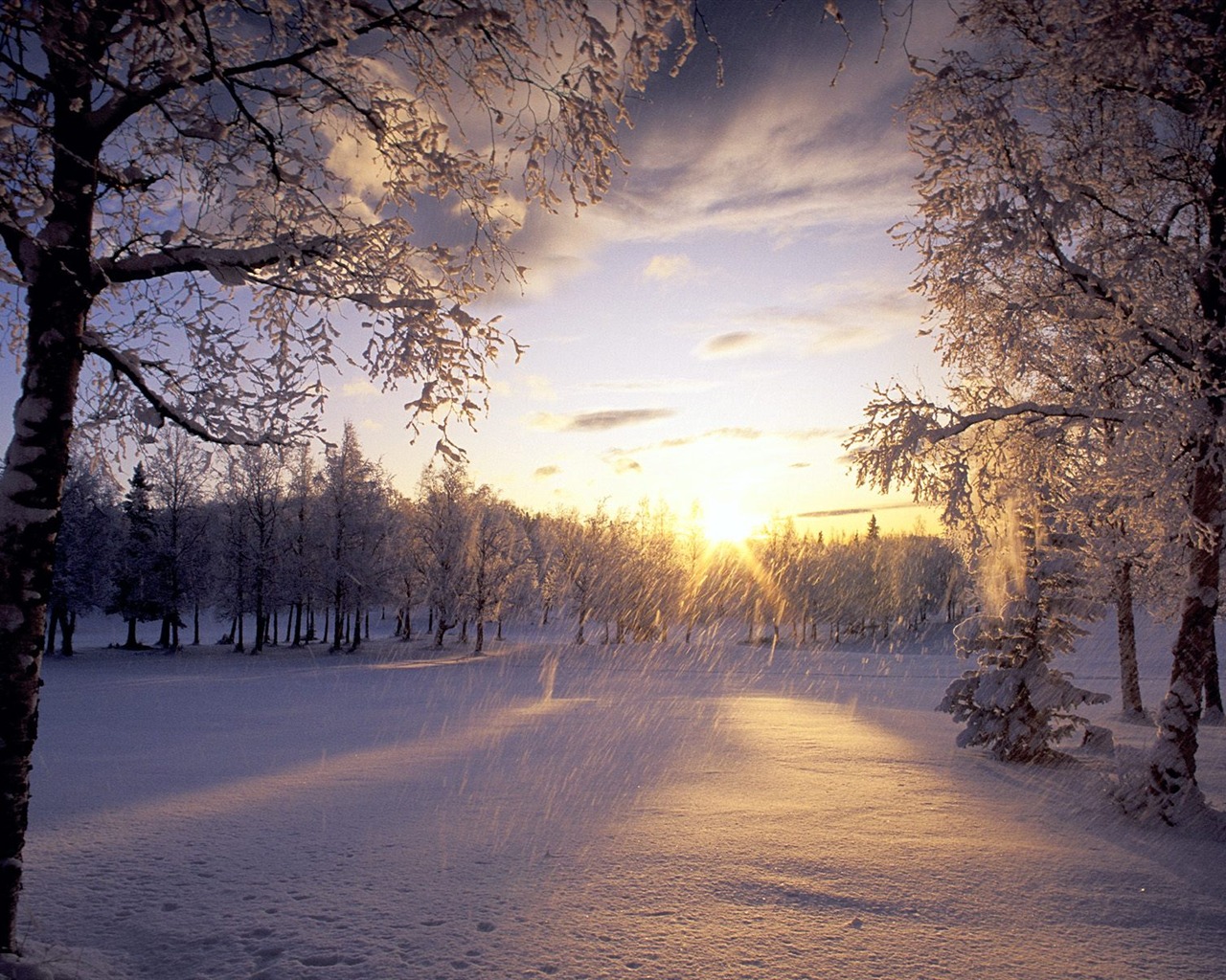 Winter Snow wallpaper (2) #8 - 1280x1024