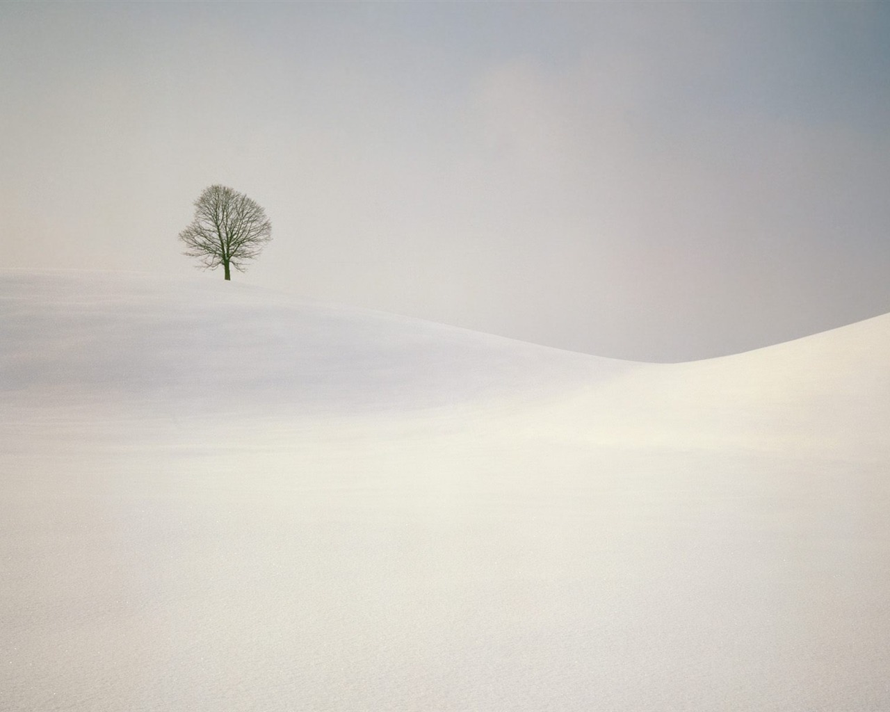 冬天雪景壁紙(二) #17 - 1280x1024