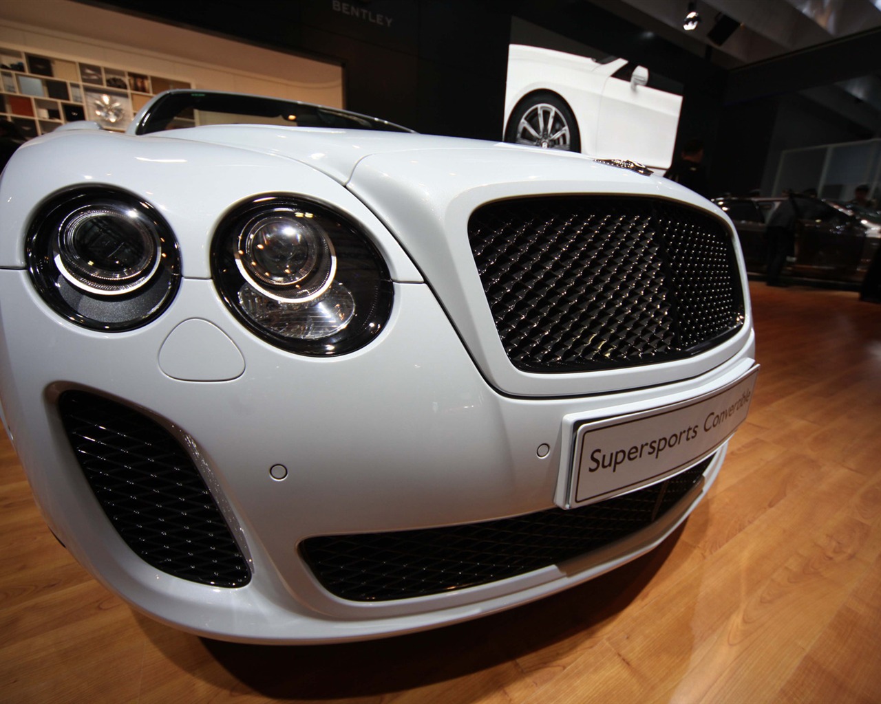 2010 Beijing Auto Show (the wind chasing the clouds works) #35 - 1280x1024