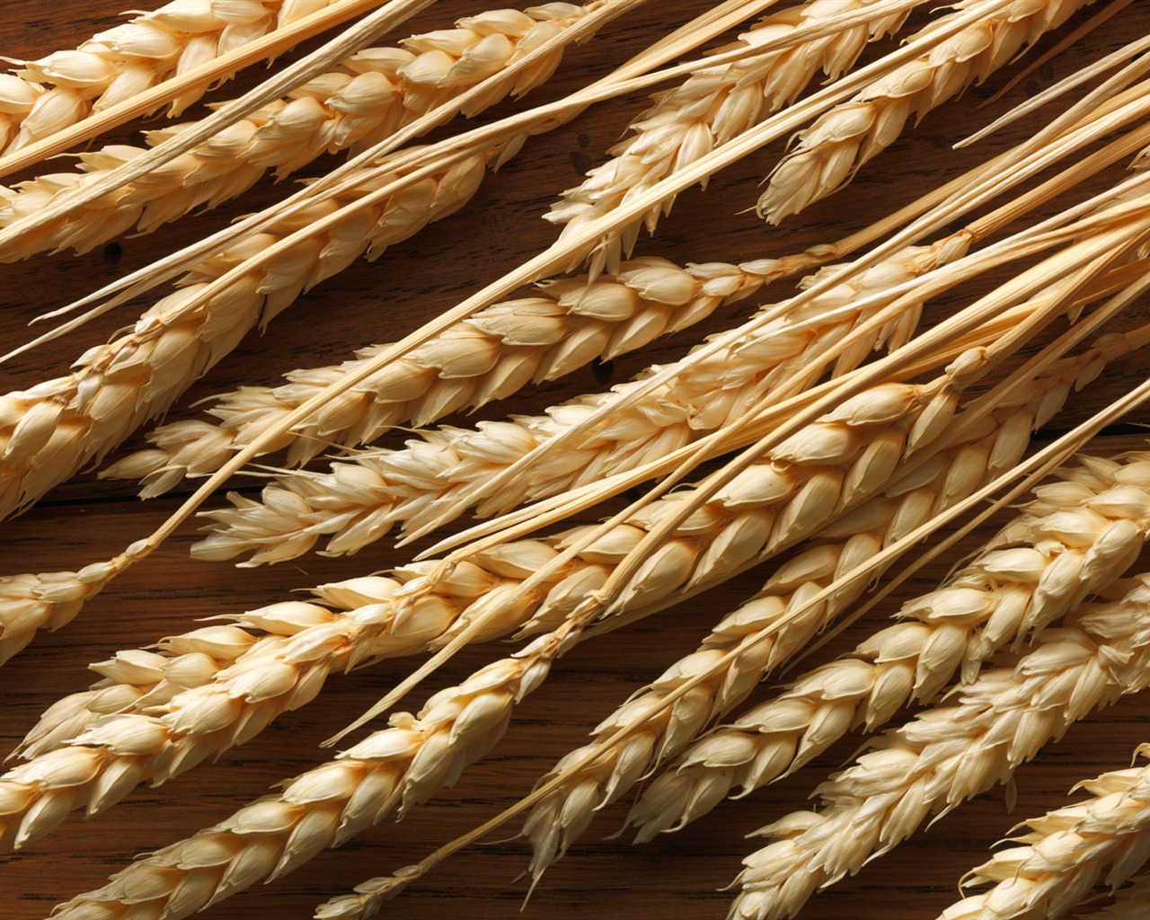 Wheat wallpaper (2) #7 - 1280x1024