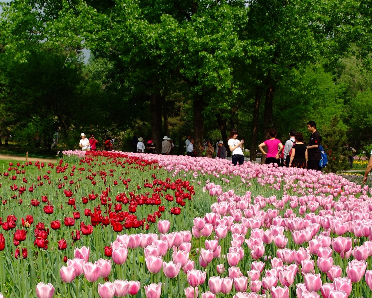 Xiangshan začátku letní zahrádka (prutu práce) #2 - 1280x1024