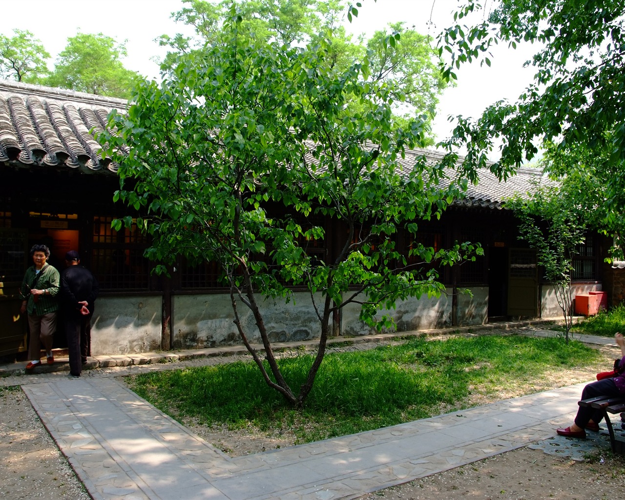 初夏的香山植物園 (螺紋鋼作品) #18 - 1280x1024