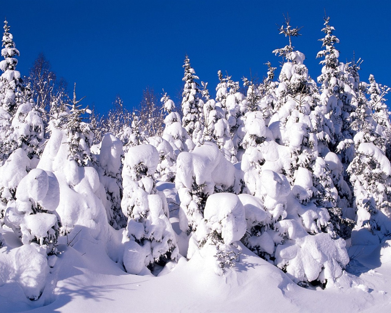 Winter Snow wallpaper (3) #2 - 1280x1024