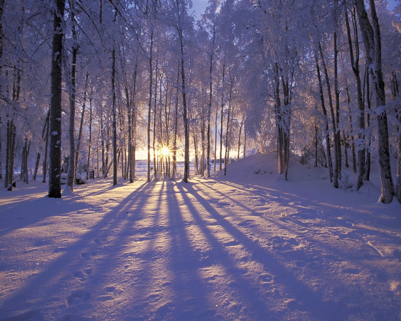 Invierno Nieve fondo de pantalla (3) #9 - 1280x1024