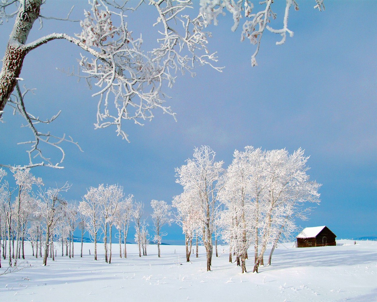 Winter Snow wallpaper (3) #10 - 1280x1024