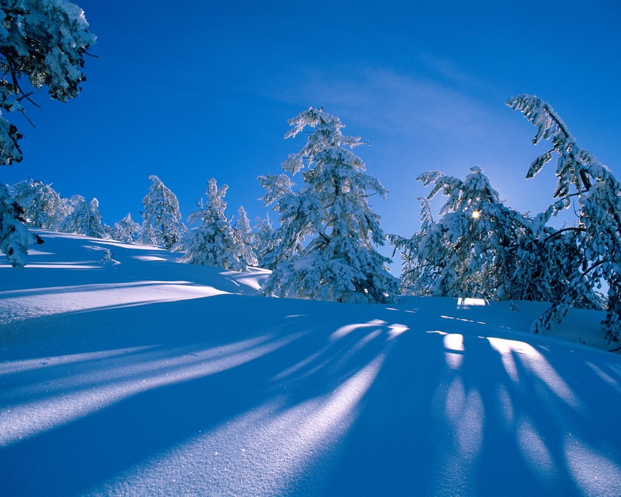 Invierno Nieve fondo de pantalla (3) #14 - 1280x1024