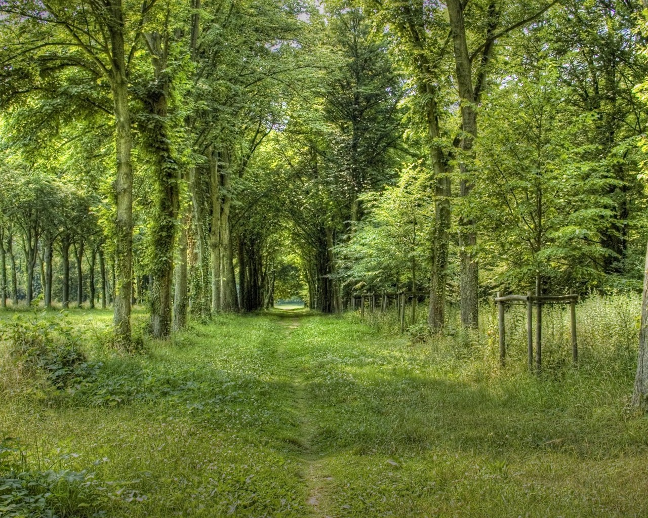 Krásně poskytnuté Krajina tapety (3) #6 - 1280x1024