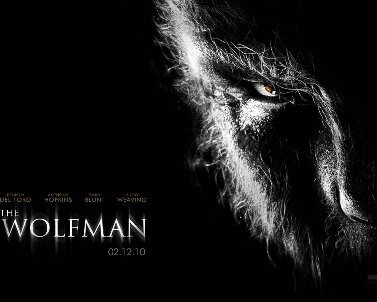 The Wolfman 狼人 电影壁纸9 - 1280x1024