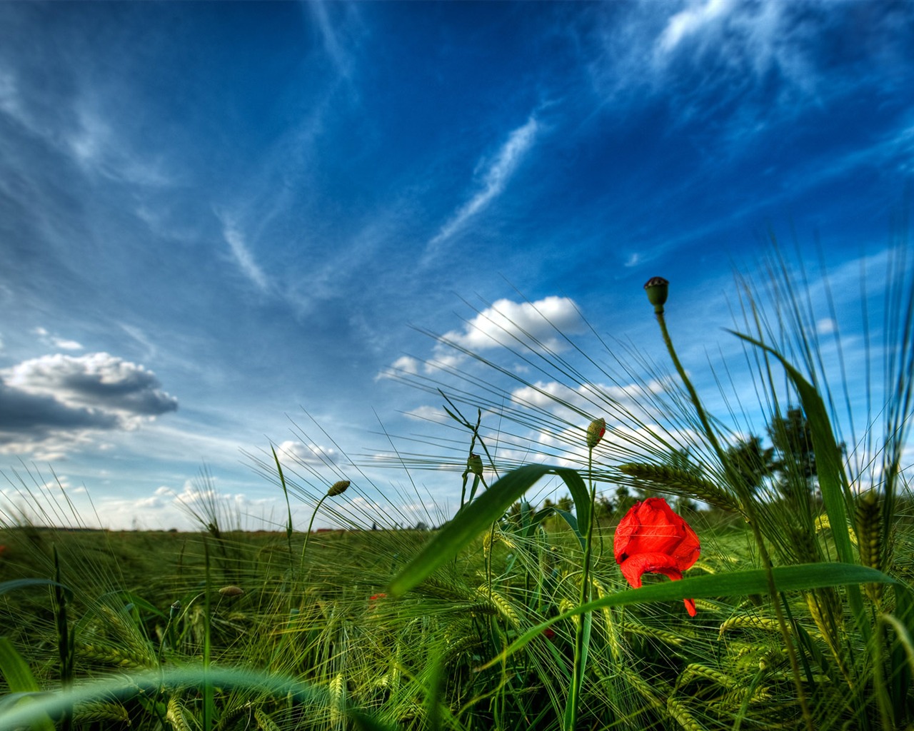 Wunderschön gerenderten Landschaften Wallpaper (6) #15 - 1280x1024