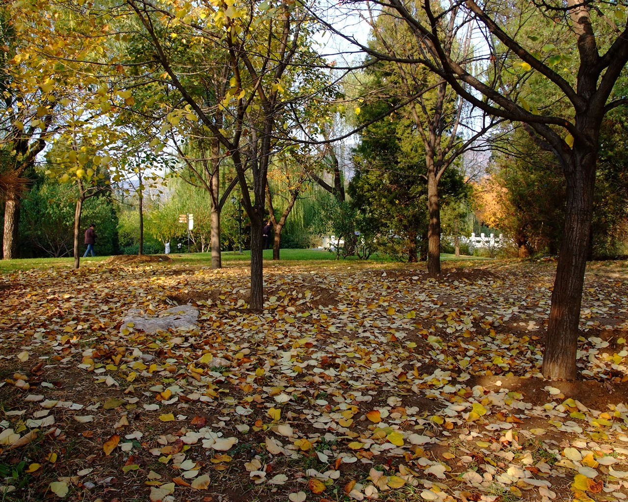 Xiangshan podzimní zahrada (prutu práce) #3 - 1280x1024