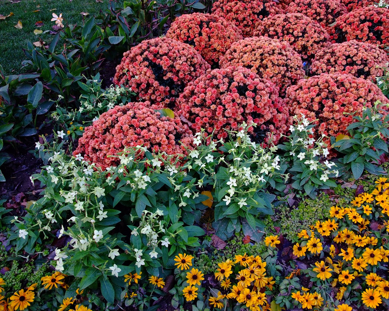 Xiangshan Herbst Garten (Bewehren) #5 - 1280x1024