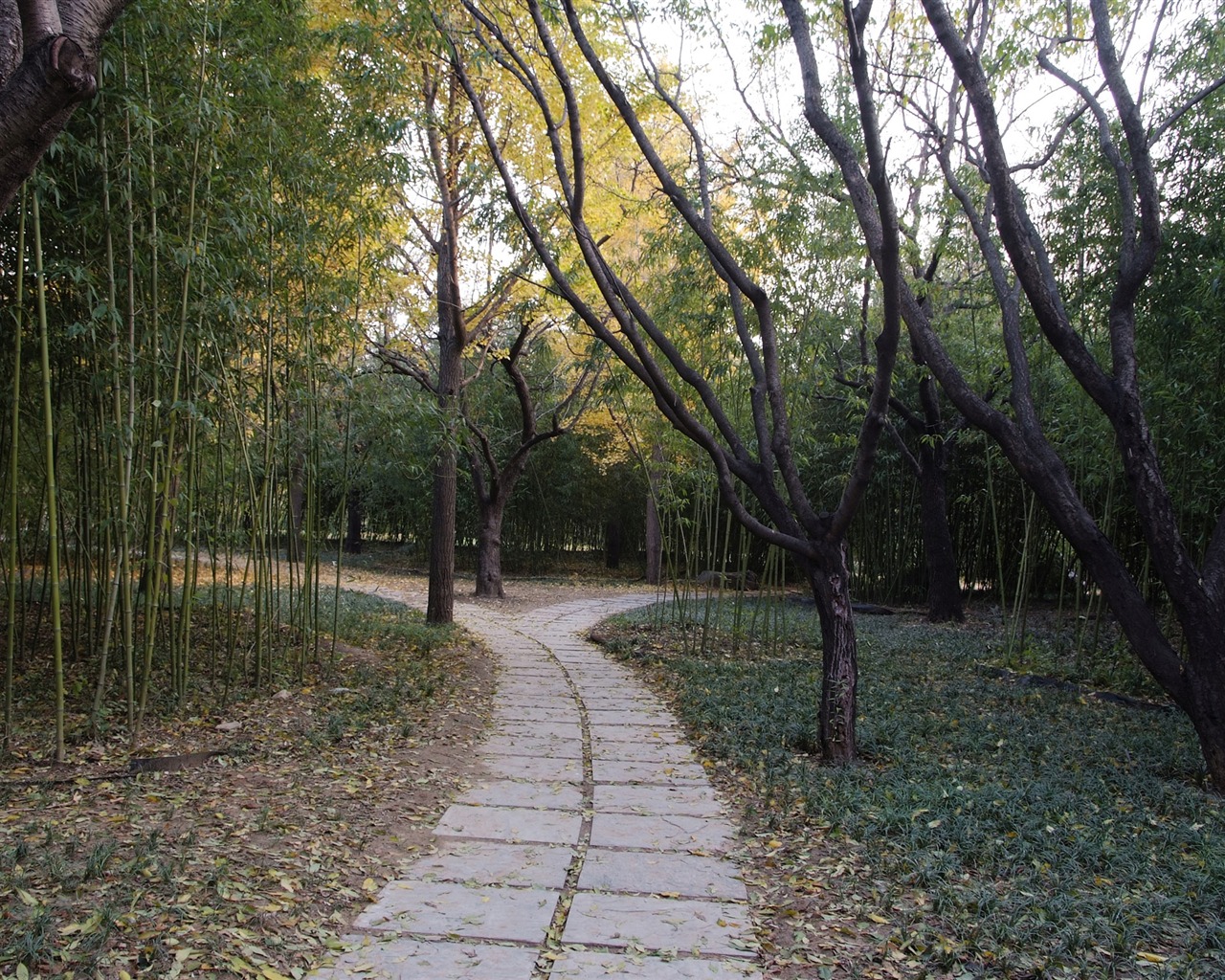 Xiangshan podzimní zahrada (prutu práce) #9 - 1280x1024