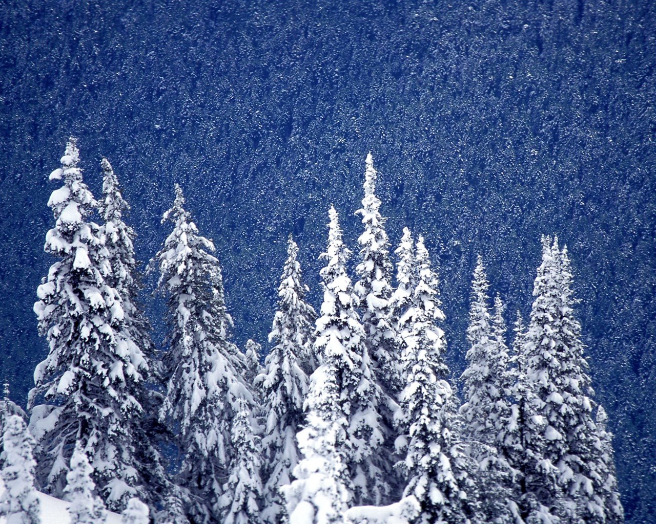 雪山雪景合集 壁紙(三) #15 - 1280x1024