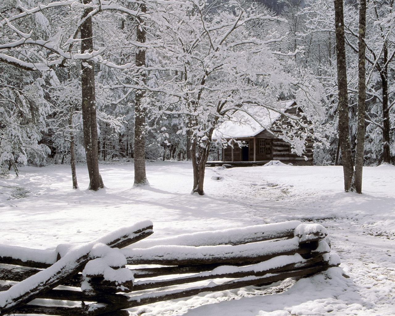 Snow wallpaper collection (3) #20 - 1280x1024