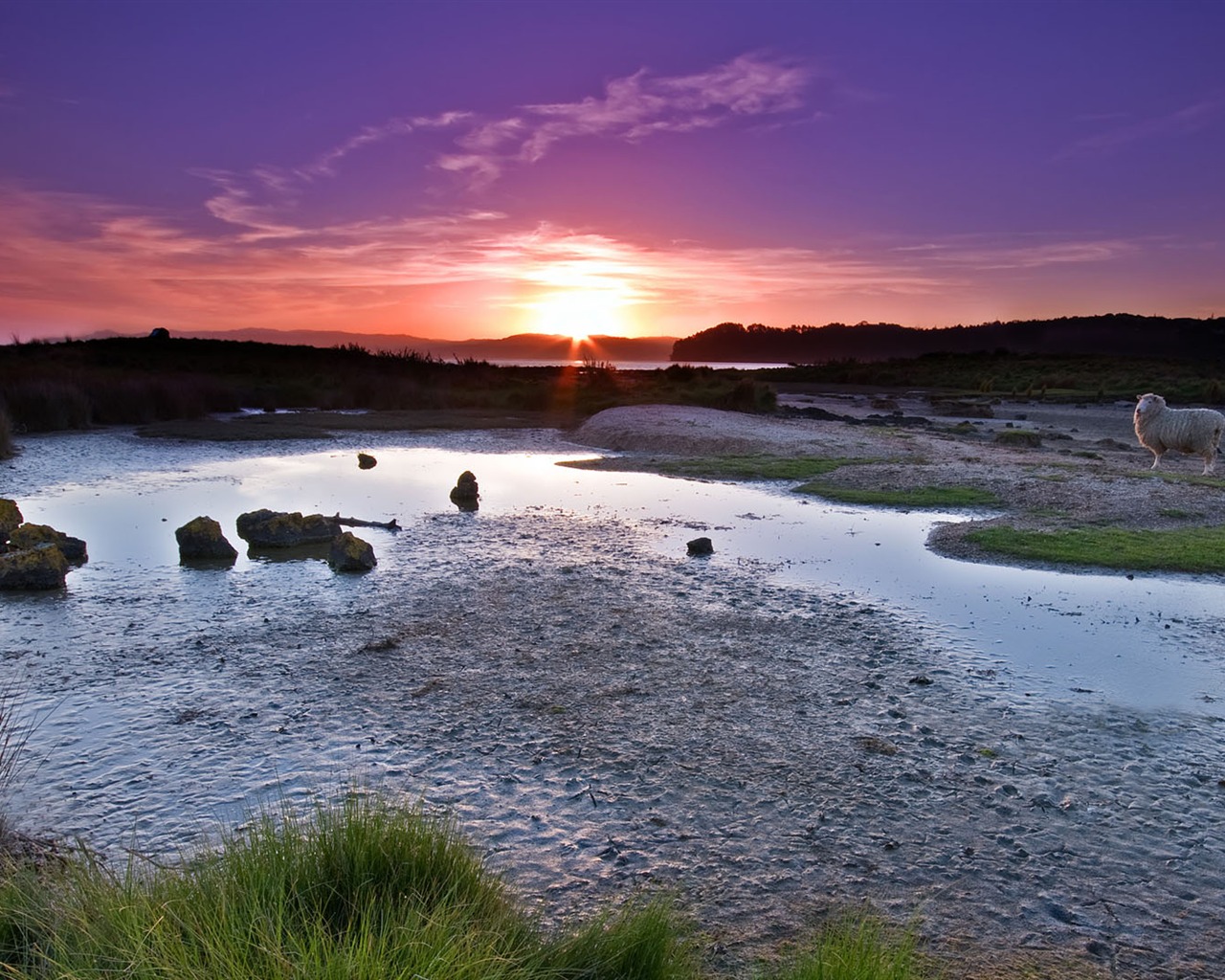 Wunderschön gerenderten Landschaften Wallpaper (7) #12 - 1280x1024