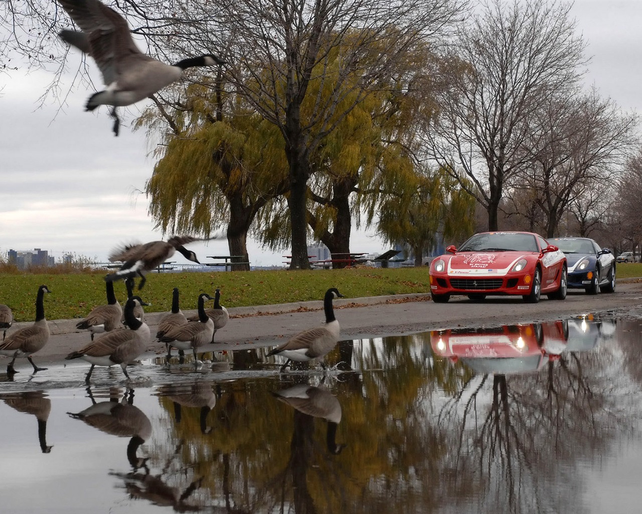 Ferrari wallpaper album (3) #14 - 1280x1024