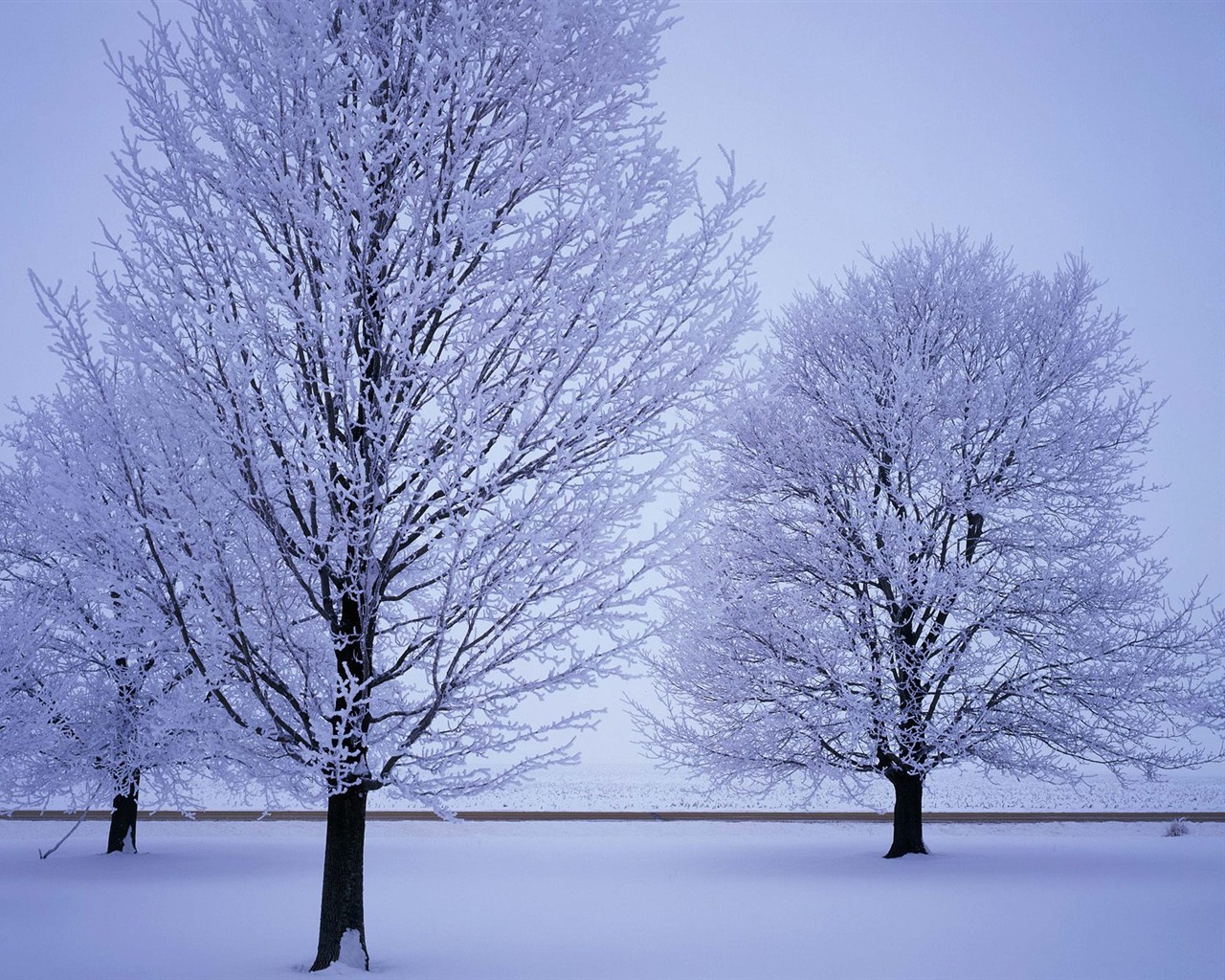 Snow wallpaper collection (4) #18 - 1280x1024