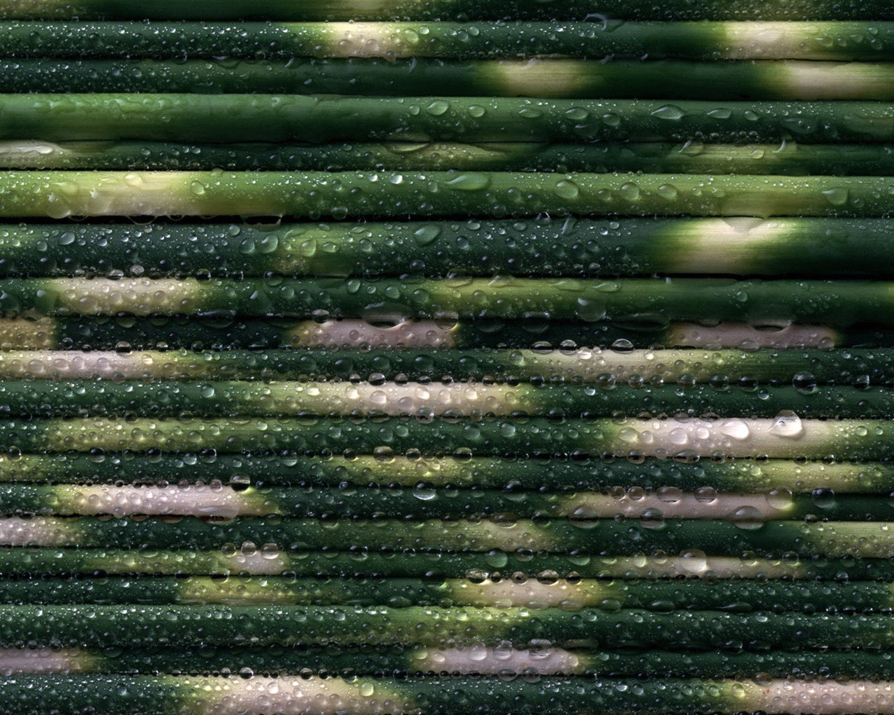 1680 꽃 녹색 잎 배경 벽지 (3) #7 - 1280x1024