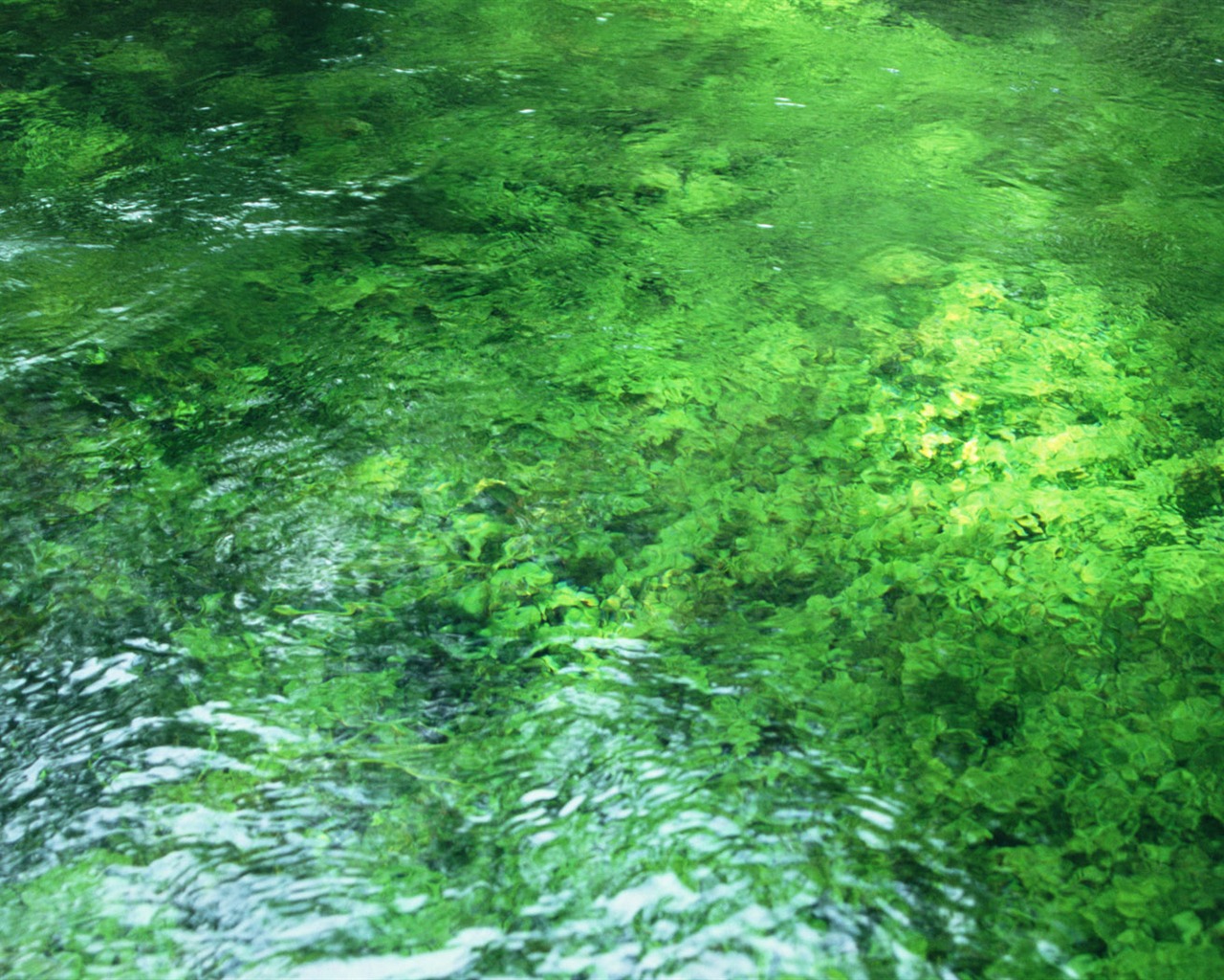 Stream Celovečerní Wallpaper (1) #1 - 1280x1024