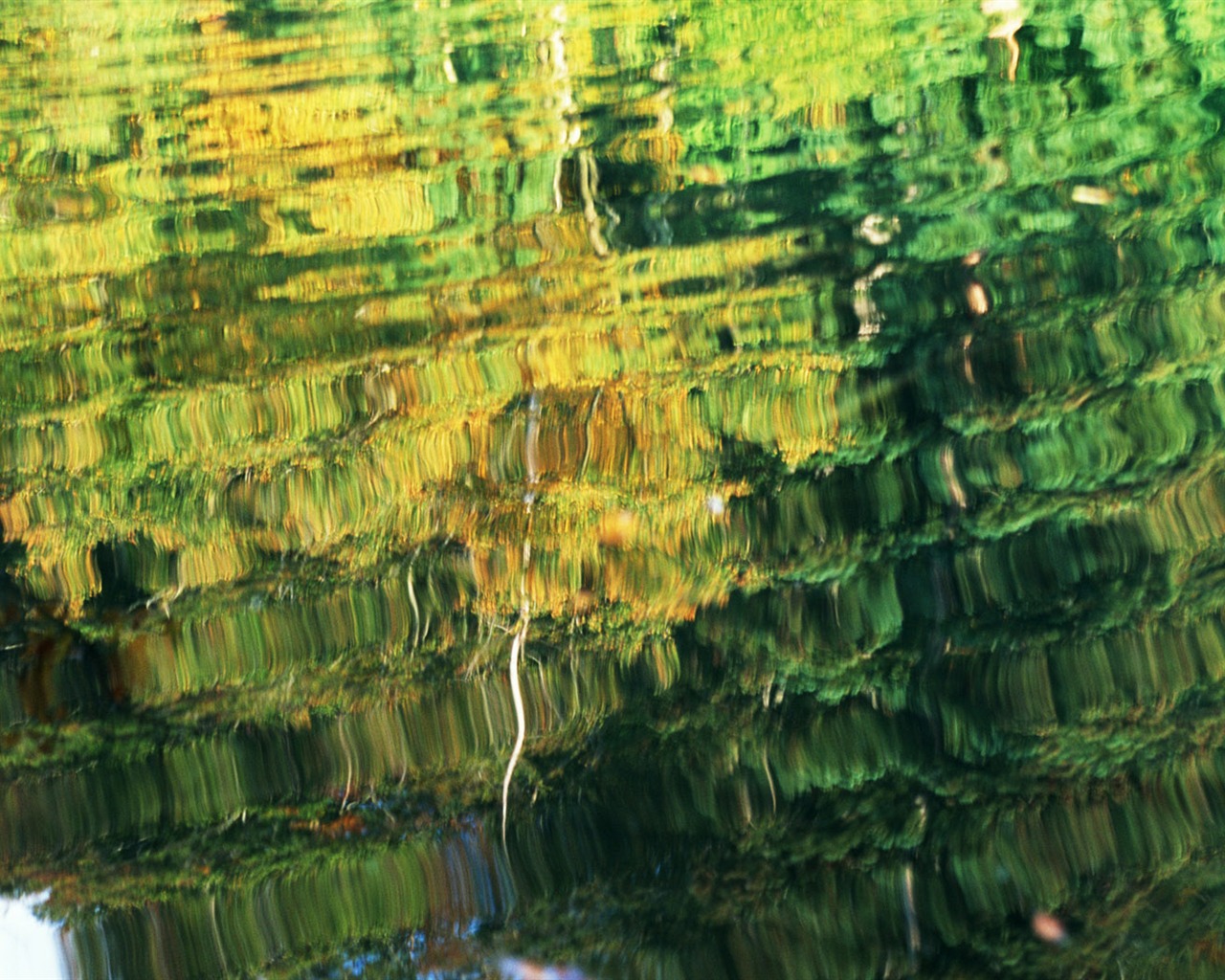 Stream Celovečerní Wallpaper (1) #13 - 1280x1024