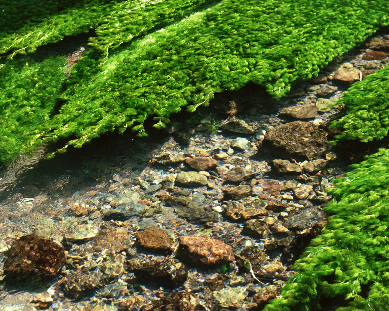 Stream Celovečerní Wallpaper (1) #16 - 1280x1024