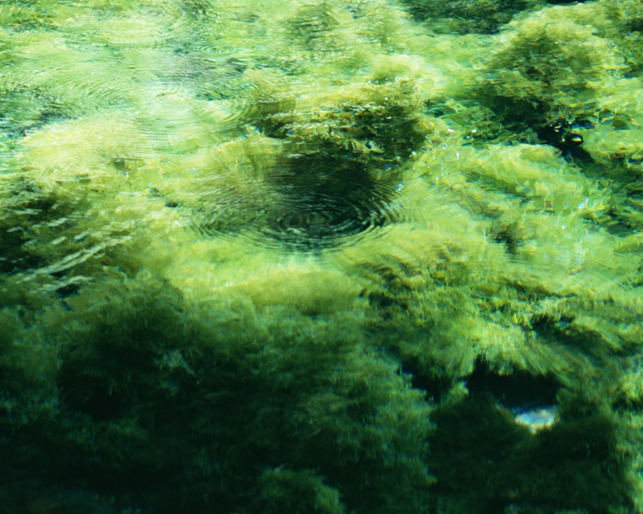 Stream Celovečerní Wallpaper (1) #17 - 1280x1024