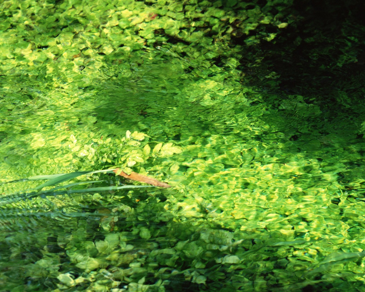 Stream Celovečerní Wallpaper (1) #18 - 1280x1024
