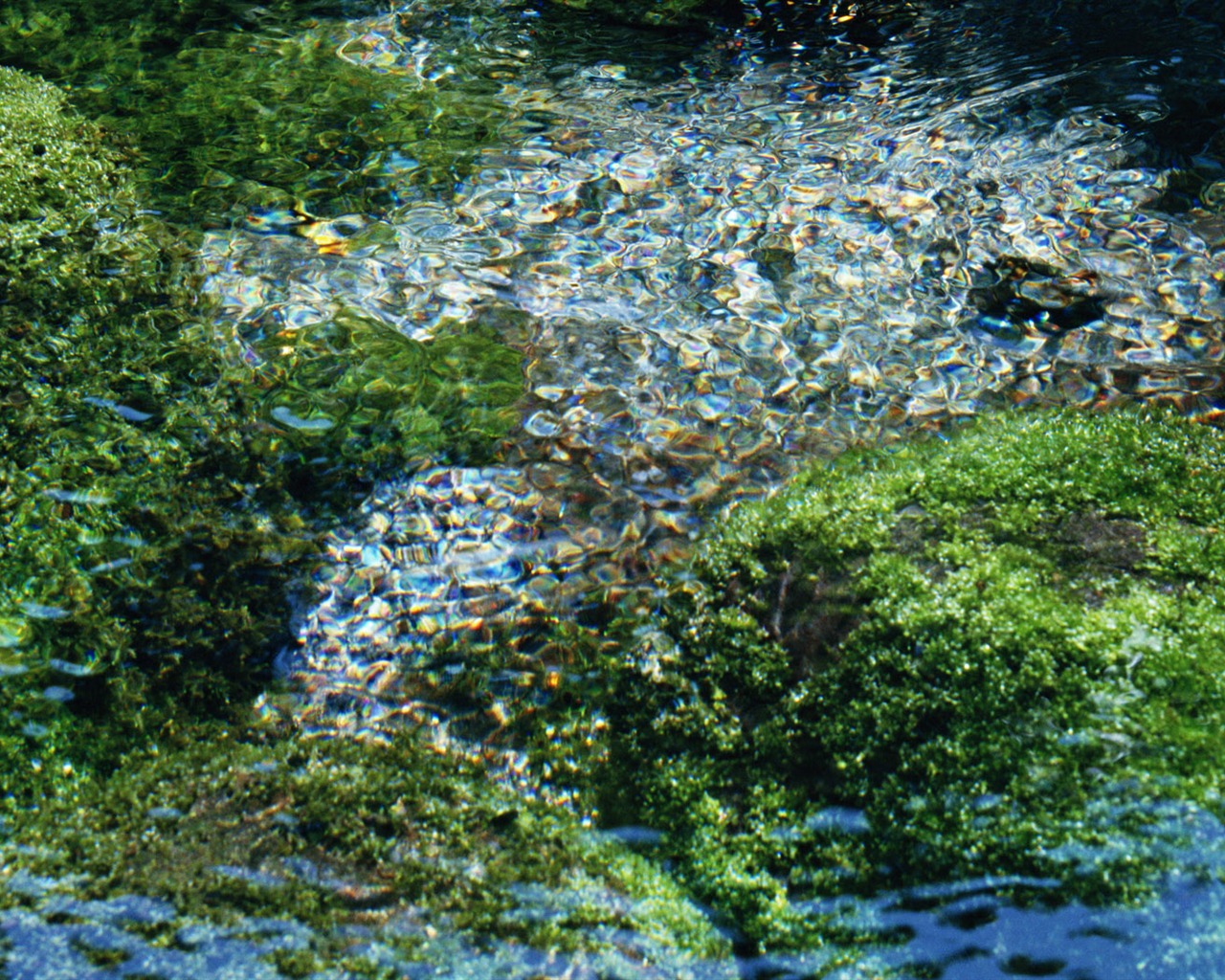 Stream Celovečerní Wallpaper (1) #20 - 1280x1024