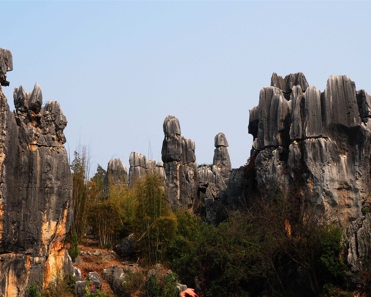 Stone Forest in Yunnan line (2) (Khitan wolf works) #24 - 1280x1024