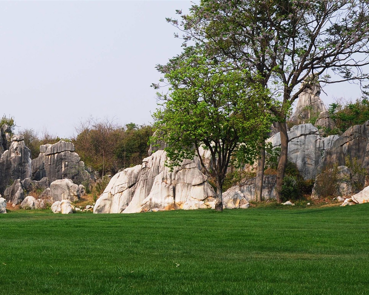 Stone Forest in Yunnan line (2) (Khitan wolf works) #27 - 1280x1024