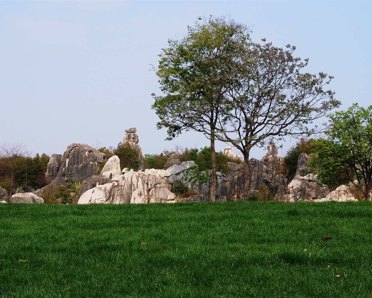 Stone Forest in Yunnan line (2) (Khitan wolf works) #28 - 1280x1024