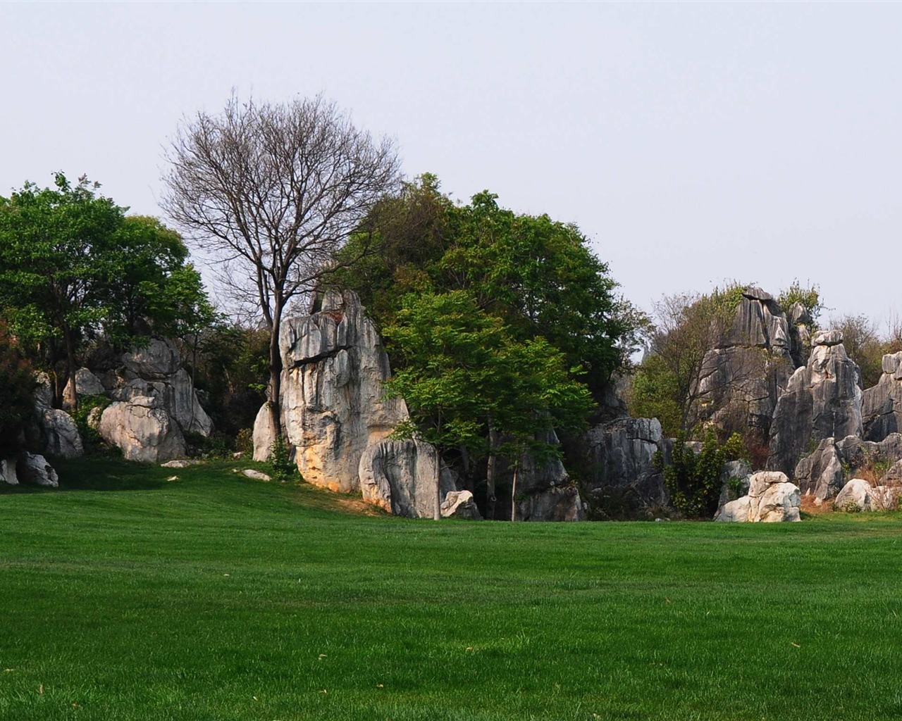 Stone Lesní v souladu Yunnan (2) (Khitan vlk práce) #34 - 1280x1024
