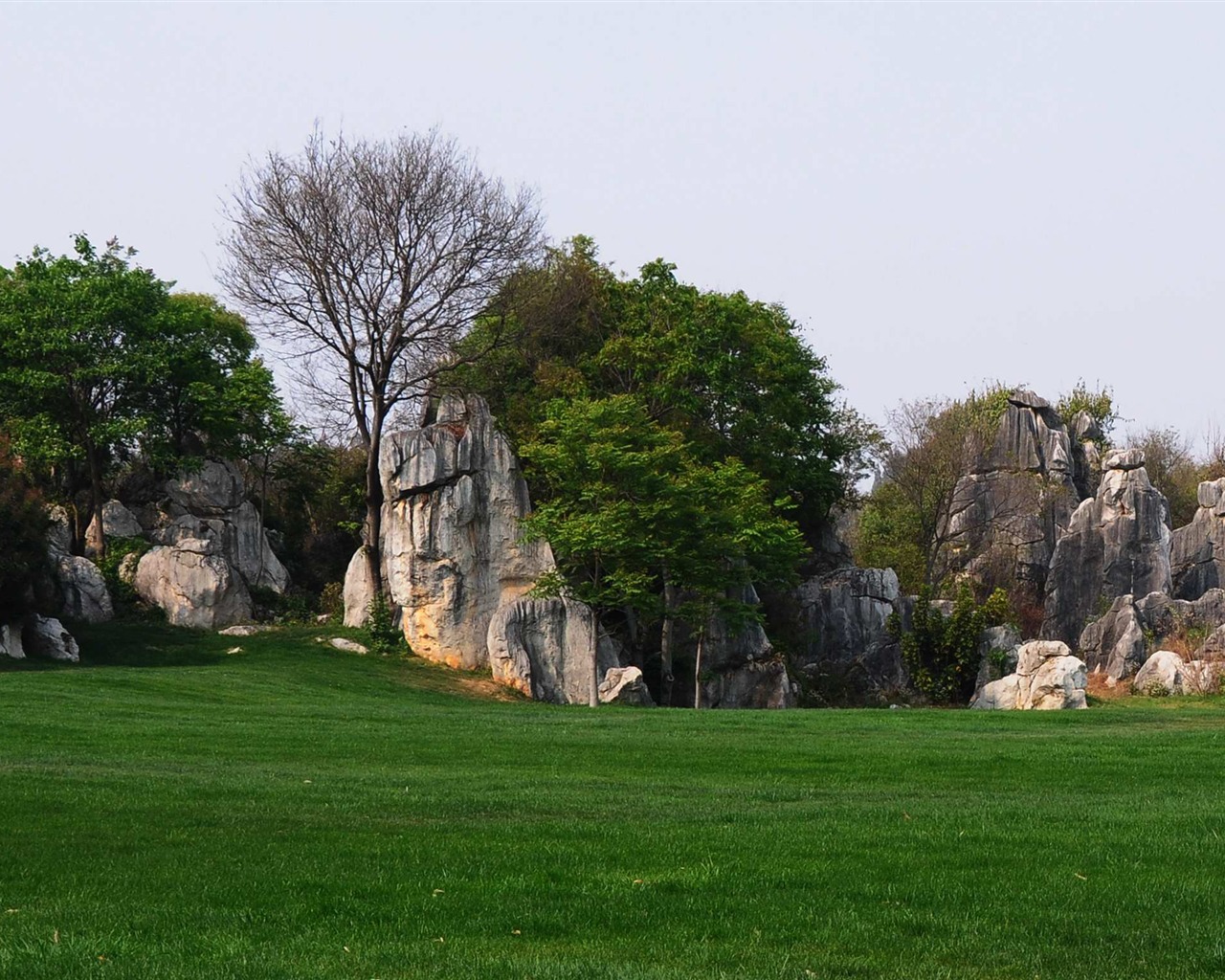 Stone Forest in Yunnan line (2) (Khitan wolf works) #34 - 1280x1024