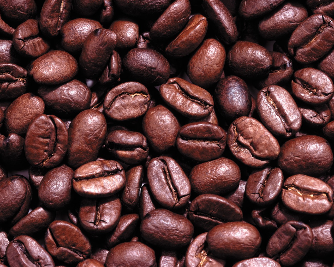 Coffee feature wallpaper (6) #12 - 1280x1024