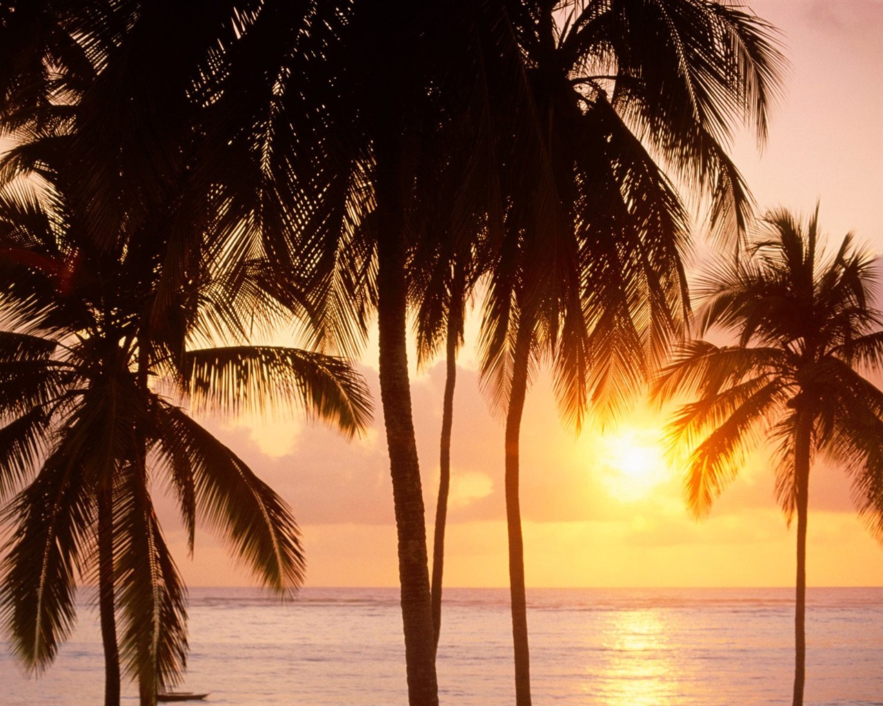 Palm tree sunset wallpaper (1) #6 - 1280x1024