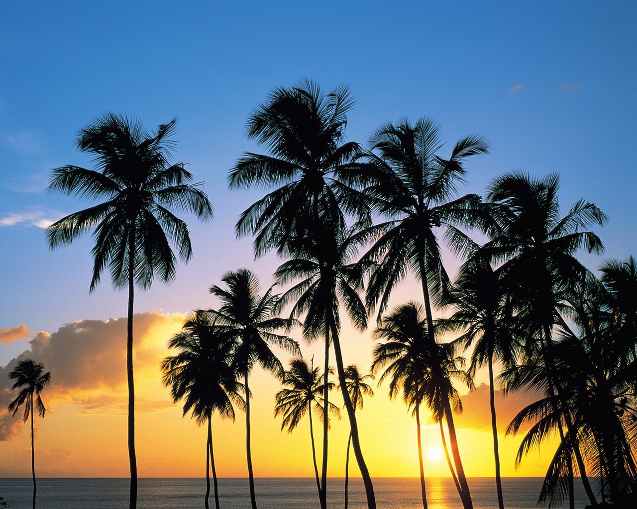 Palm tree sunset wallpaper (1) #7 - 1280x1024