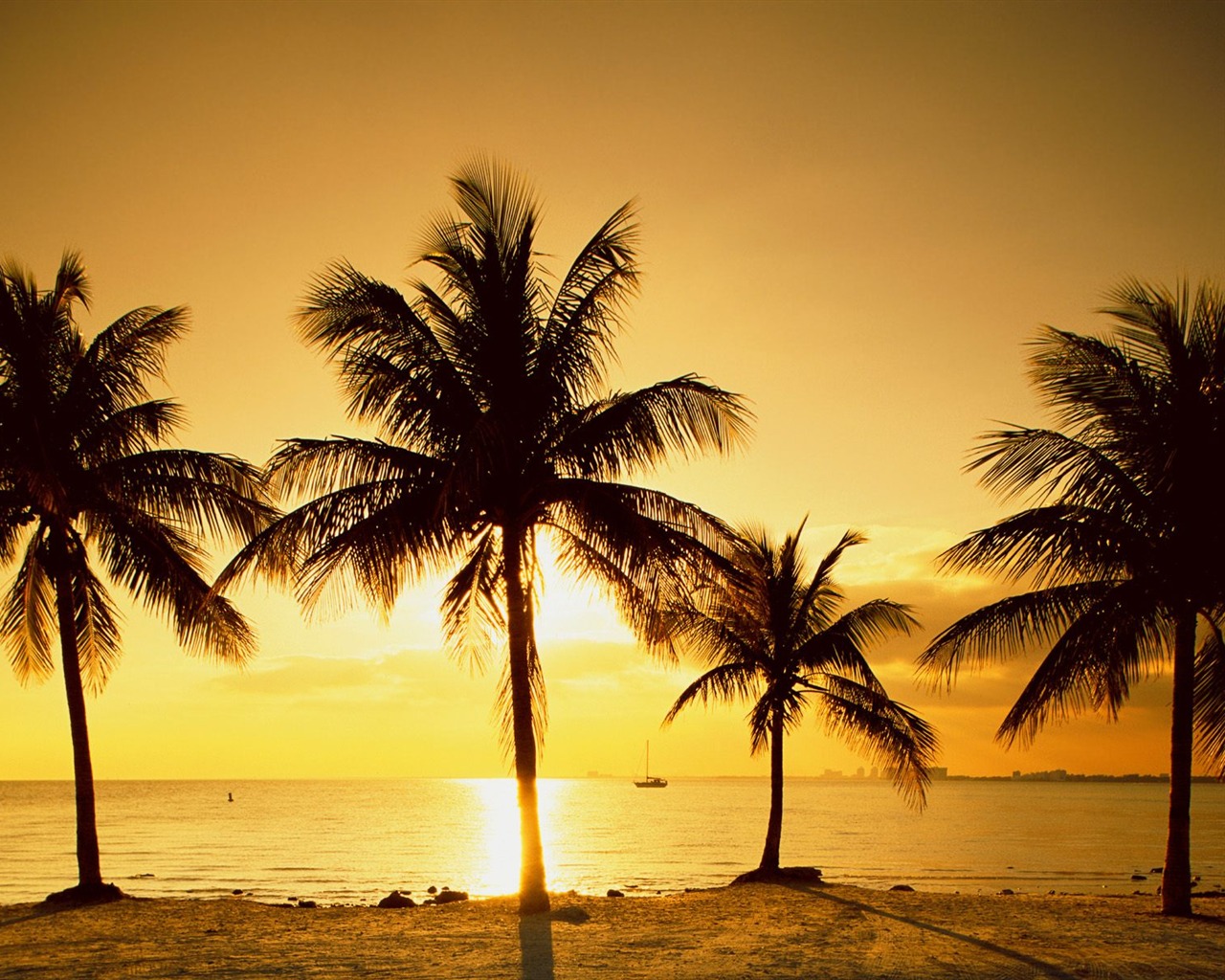 Palm tree sunset wallpaper (1) #9 - 1280x1024