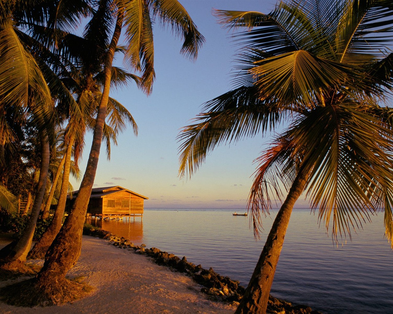 Palm tree sunset wallpaper (1) #11 - 1280x1024