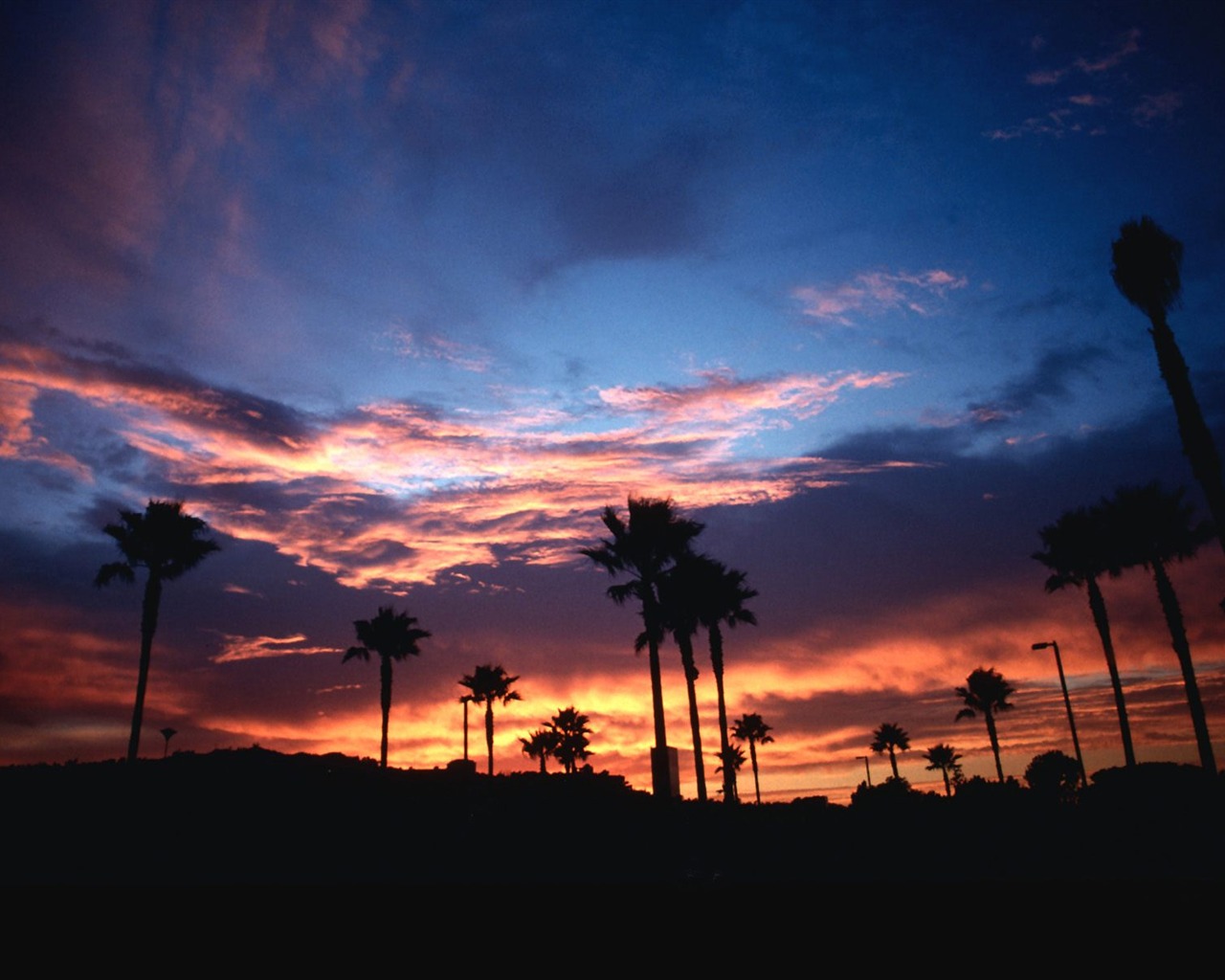 Palm tree sunset wallpaper (1) #12 - 1280x1024