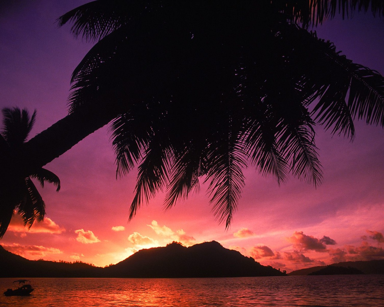 Palm tree sunset wallpaper (1) #14 - 1280x1024