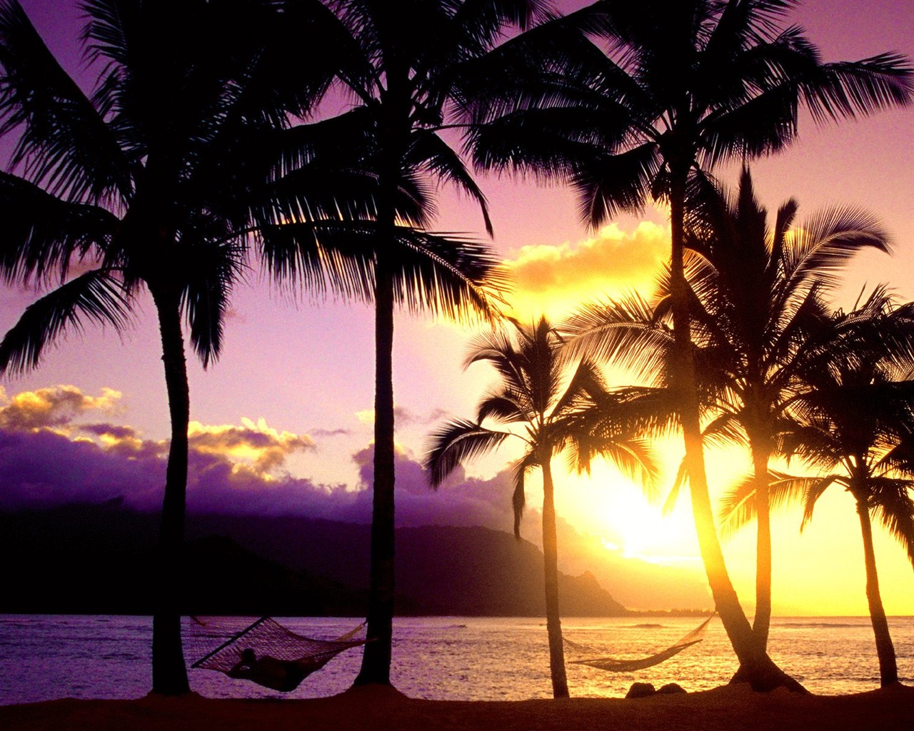 Palm tree sunset wallpaper (1) #20 - 1280x1024