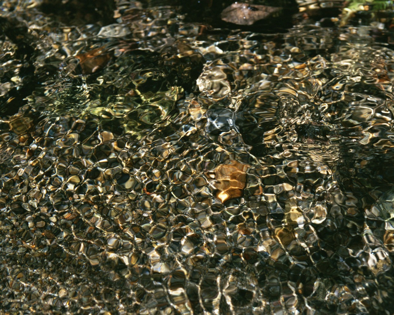 Stream Celovečerní Wallpaper (2) #6 - 1280x1024