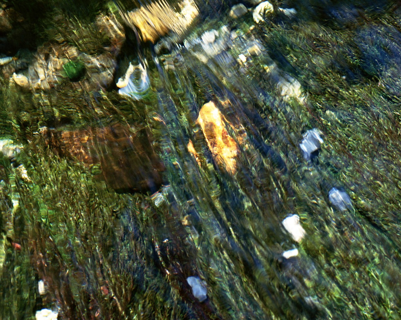 Stream Celovečerní Wallpaper (2) #17 - 1280x1024