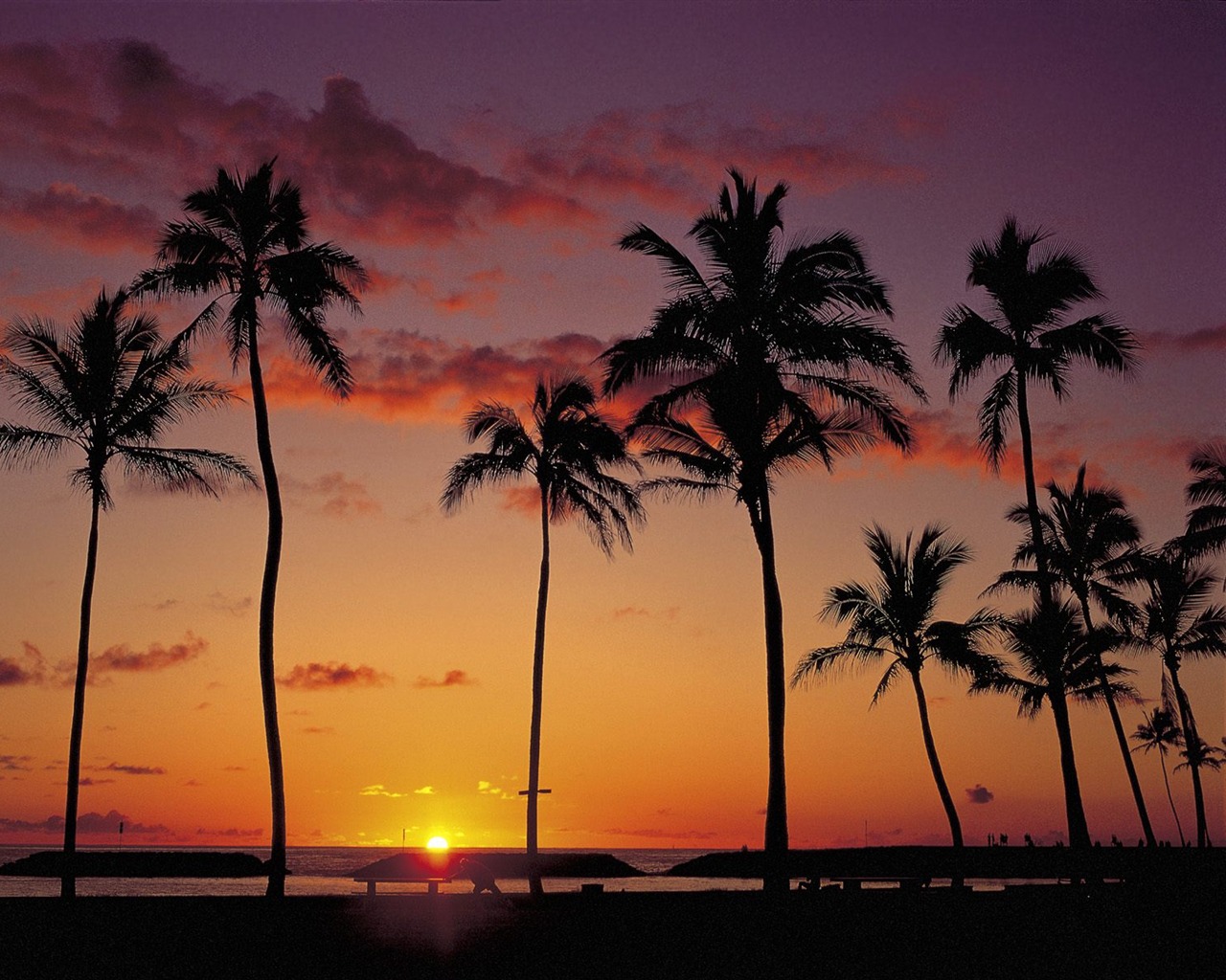 Fond d'écran Palm arbre coucher de soleil (2) #4 - 1280x1024