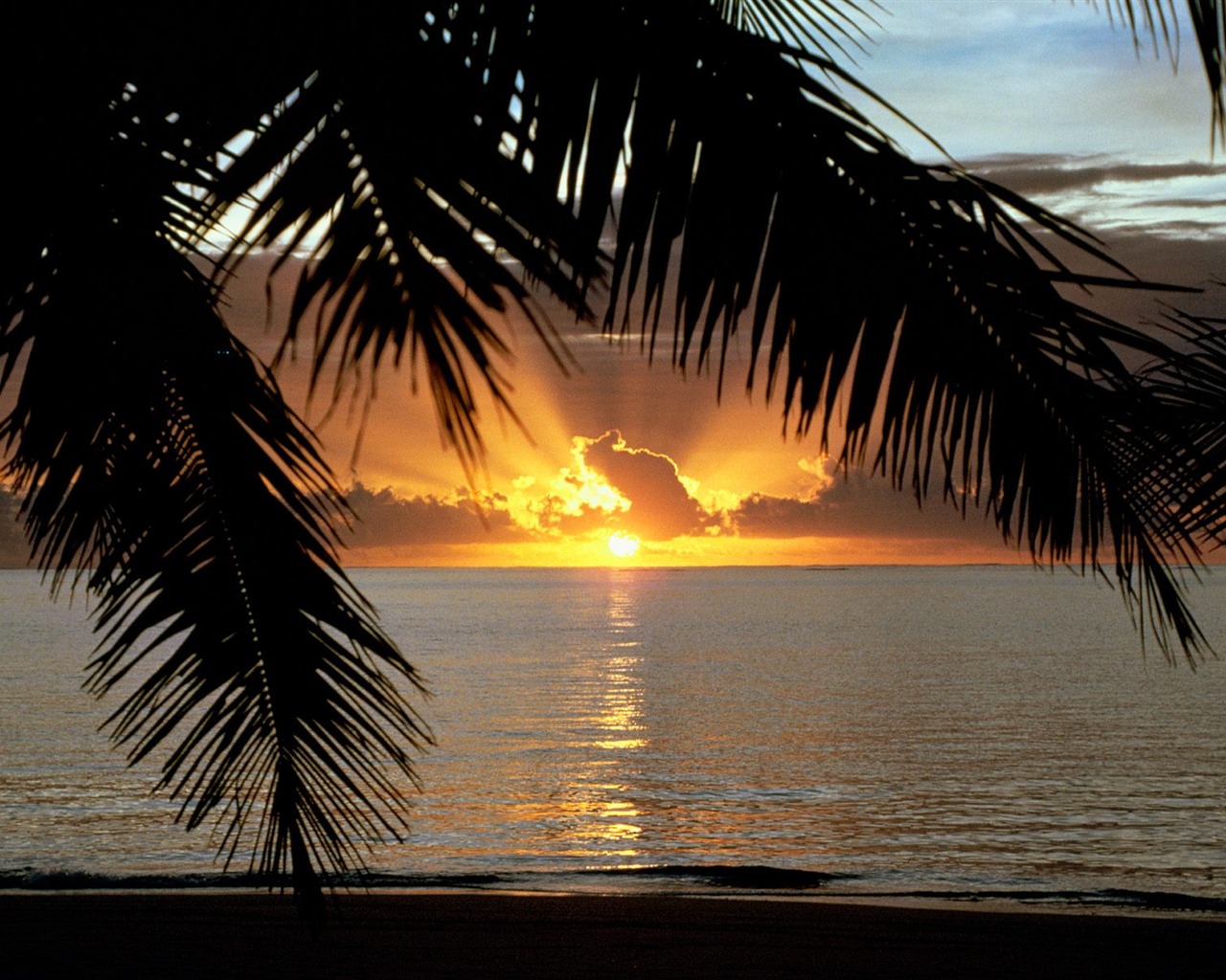 Fond d'écran Palm arbre coucher de soleil (2) #14 - 1280x1024
