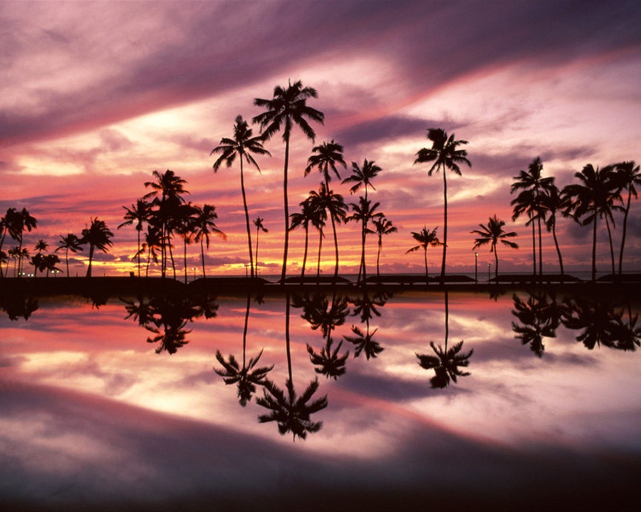 Fond d'écran Palm arbre coucher de soleil (2) #16 - 1280x1024