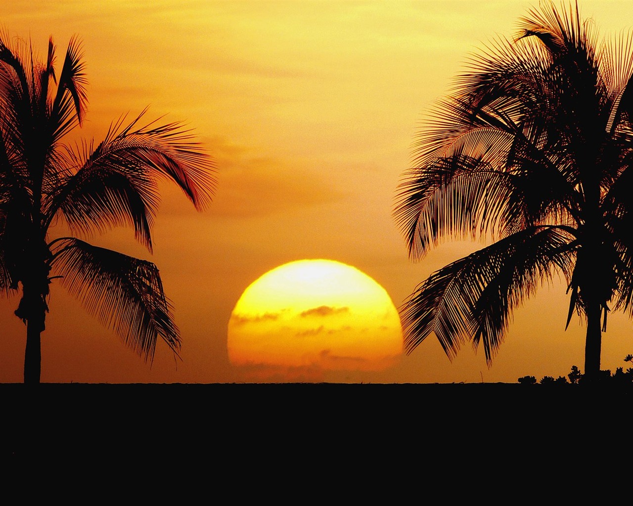 Fond d'écran Palm arbre coucher de soleil (2) #18 - 1280x1024