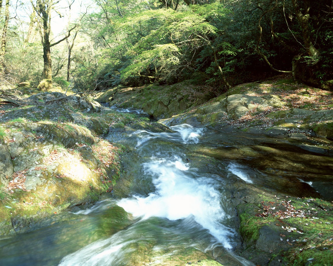 瀑布溪流 壁紙(一) #4 - 1280x1024